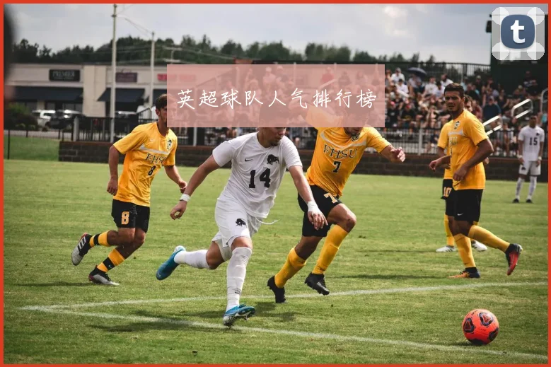 英超球队人气排行榜